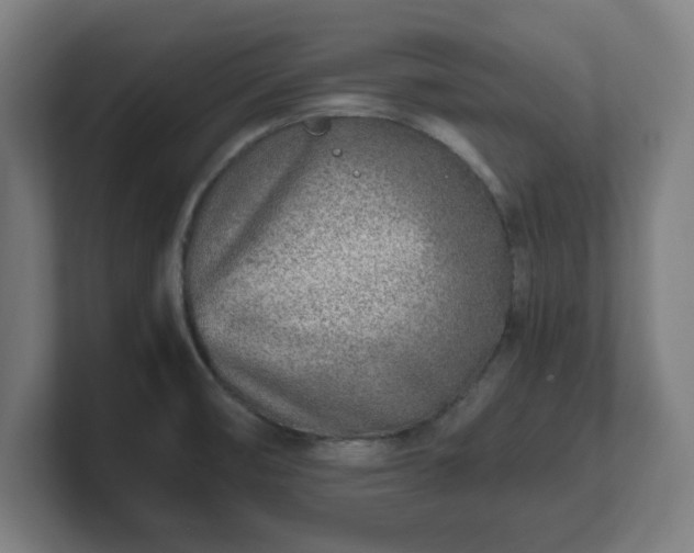 X0000101711474200807171525