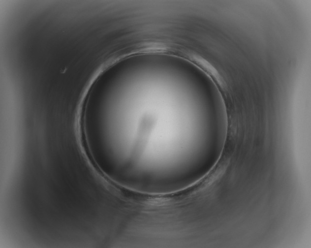 X0000101711475200807171525