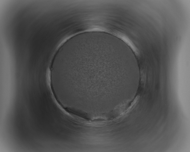 X0000101711476200807171525
