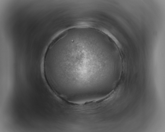 X0000101711477200807171525
