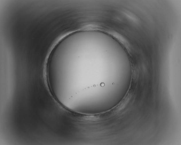 X0000101711478200807171525