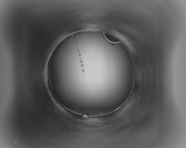 X0000101711479200807171525