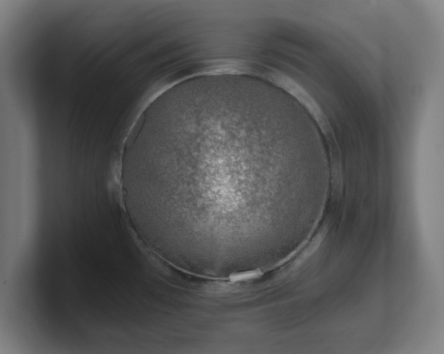 X0000101711481200807171525