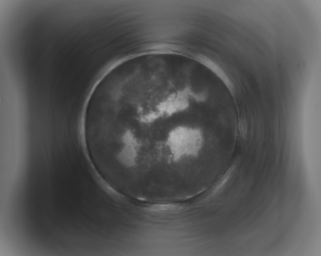 X0000101711482200807171525