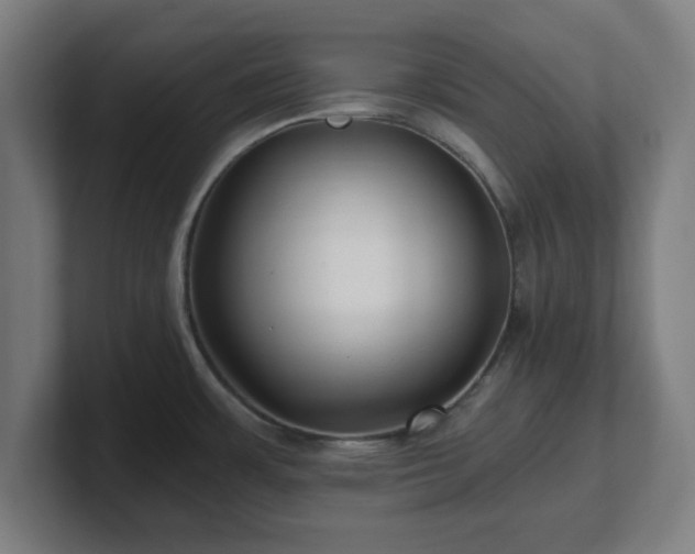 X0000101711483200807171525