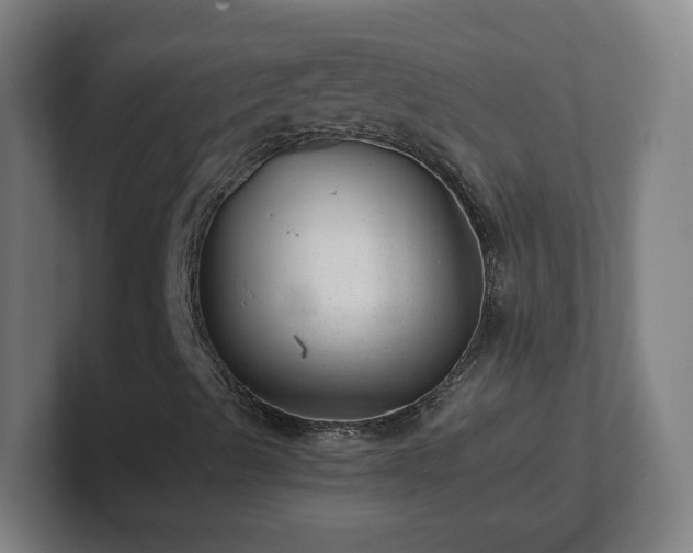 X0000101711489200807171525