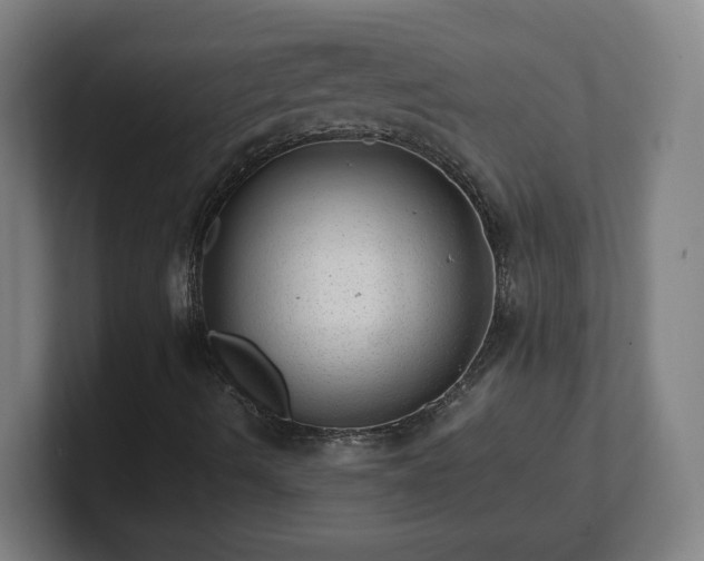 X0000101711490200807171525