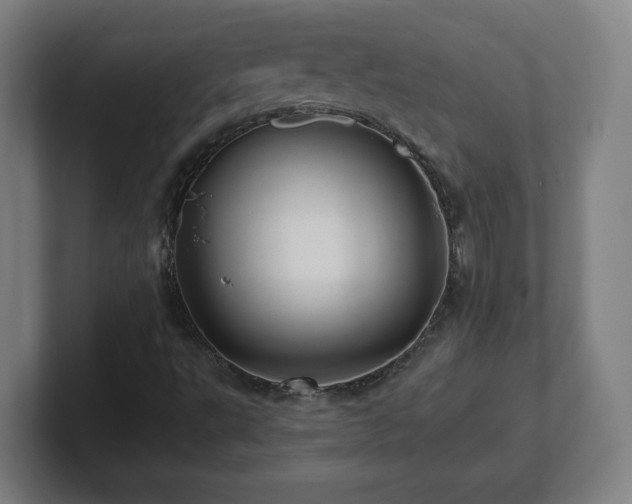 X0000101711495200807171525