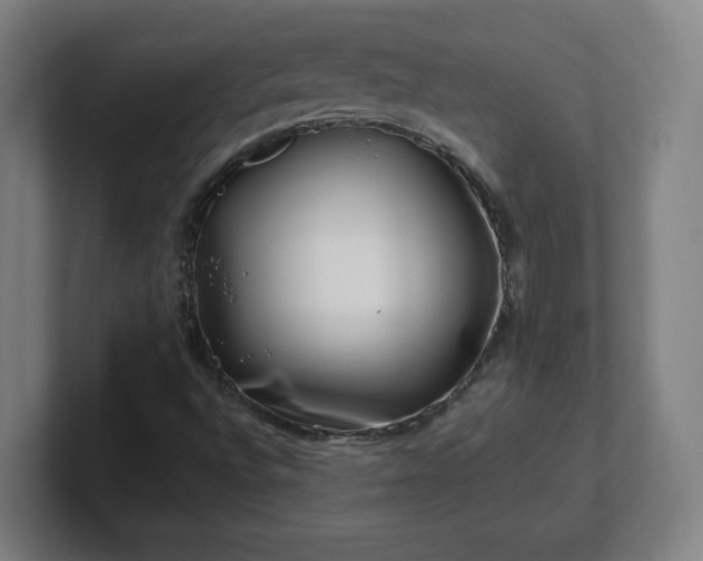 X0000101711496200807171525