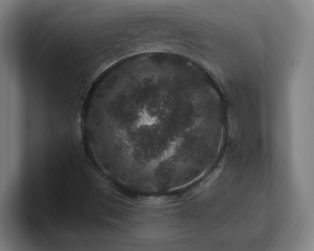 X0000101711497200807171525