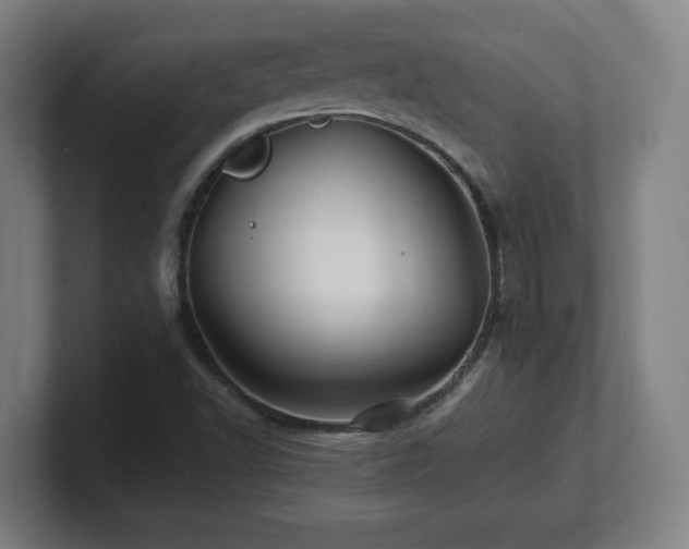 X0000101711502200807171525