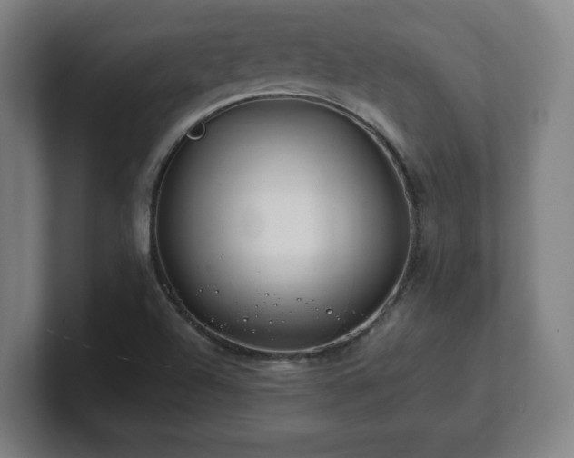 X0000101711504200807171525