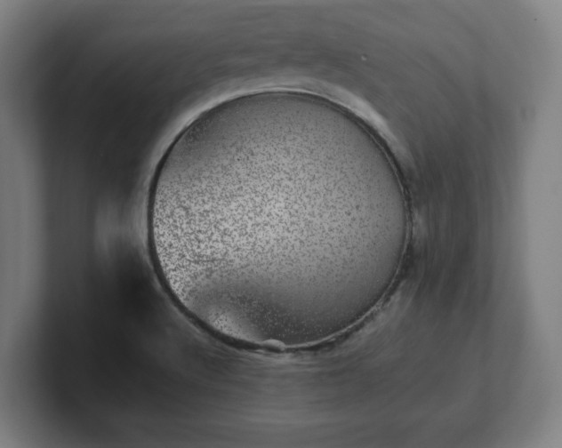 X0000101711512200807171525