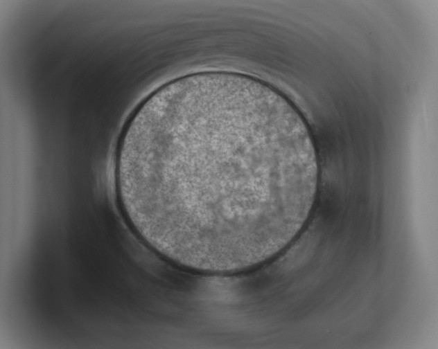 X0000101711514200807171525