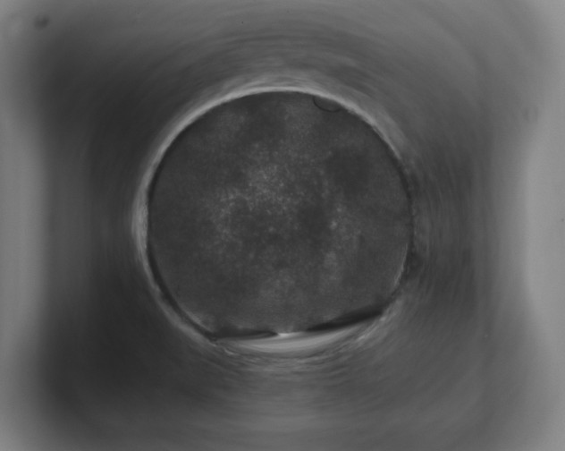 X0000101711519200807171525