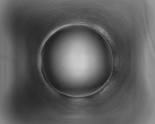 X0000101711520200807171525