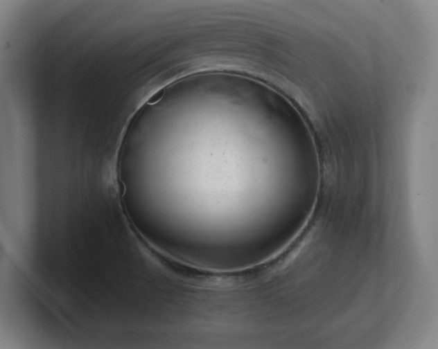 X0000101711521200807171525