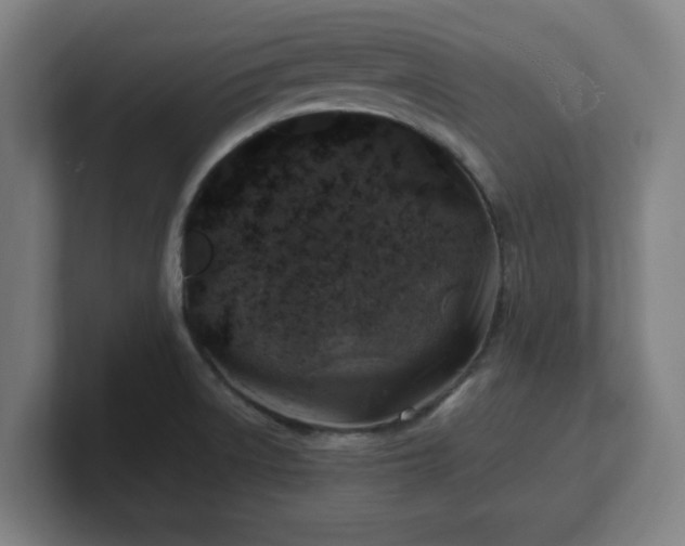X0000101711522200807171525