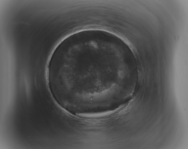 X0000101711527200807171525