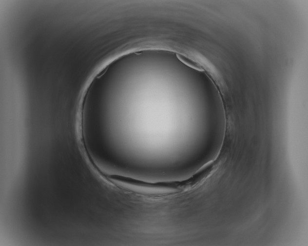 X0000101711528200807171525