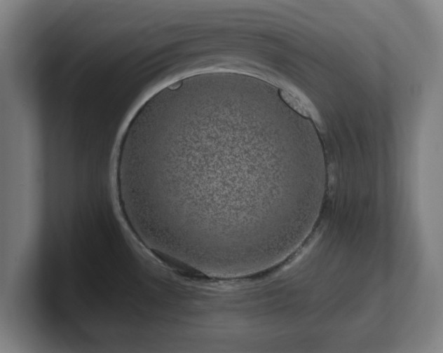 X0000101711530200807171525