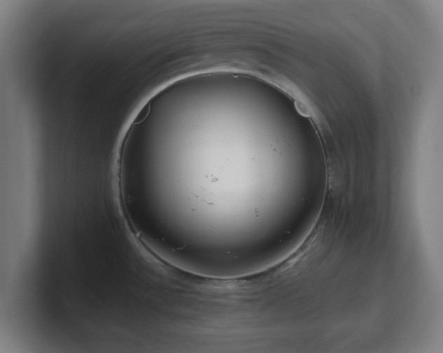 X0000101711532200807171525