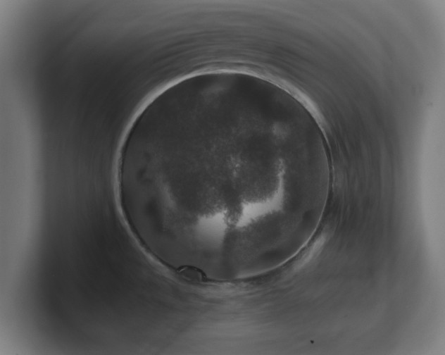 X0000101711533200807171525