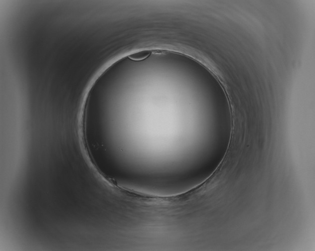 X0000101711536200807171525