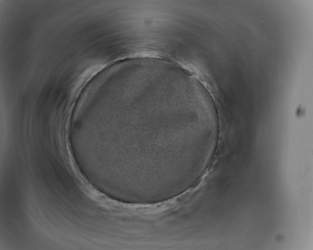 X0000101710001200807241506