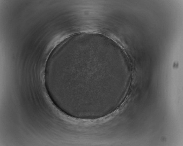 X0000101710002200807241506