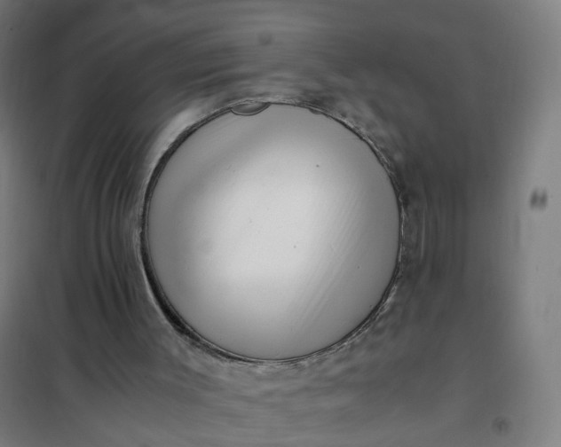 X0000101710003200807241506