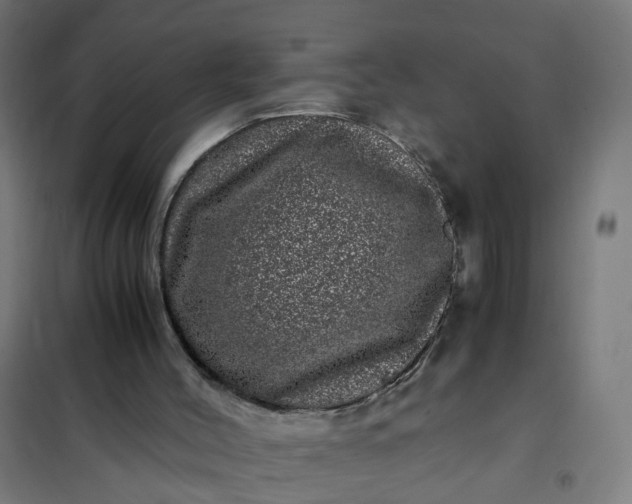 X0000101710004200807241506