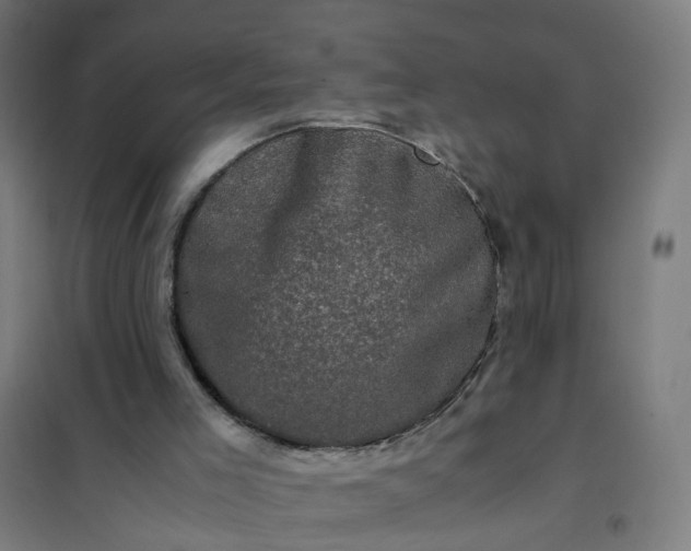 X0000101710005200807241506