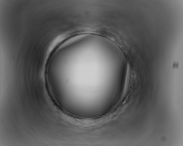 X0000101710006200807241506