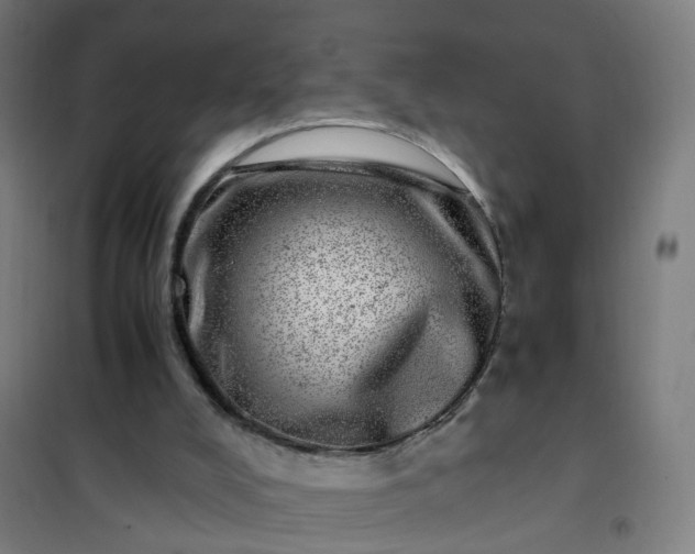 X0000101710008200807241506