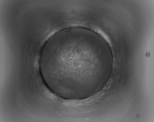 X0000101710009200807241506