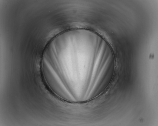 X0000101710010200807241506