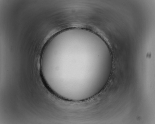 X0000101710011200807241506