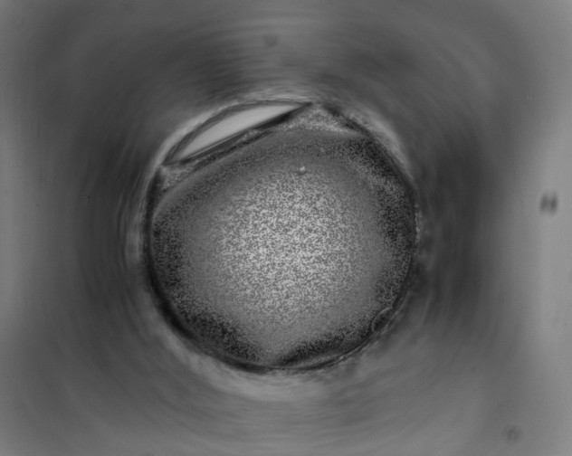 X0000101710012200807241506