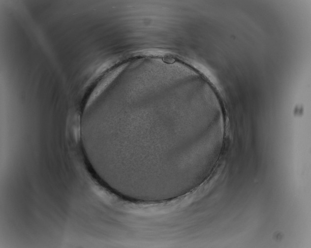 X0000101710013200807241506