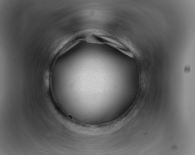 X0000101710014200807241506