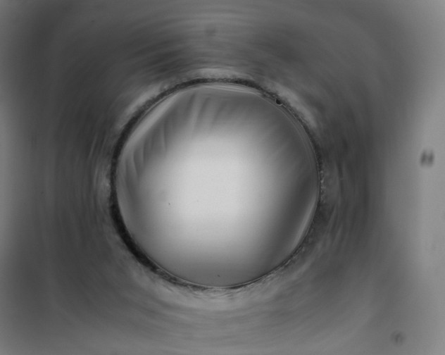 X0000101710015200807241506