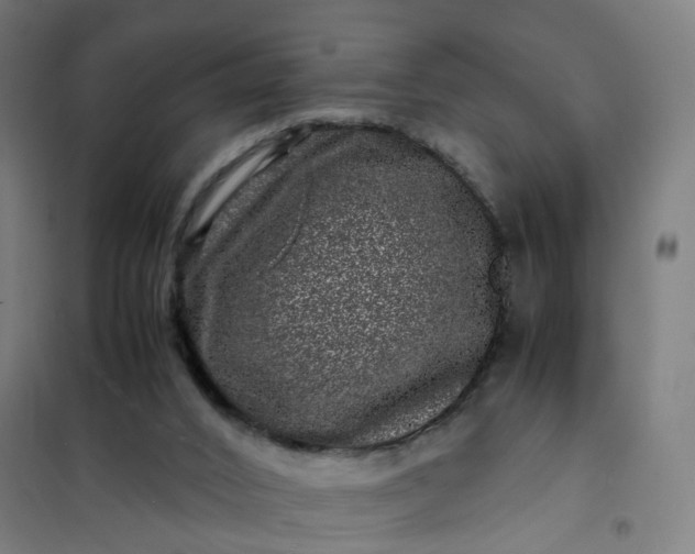 X0000101710016200807241506