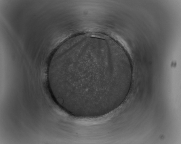 X0000101710017200807241506