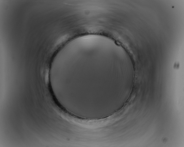 X0000101710019200807241506