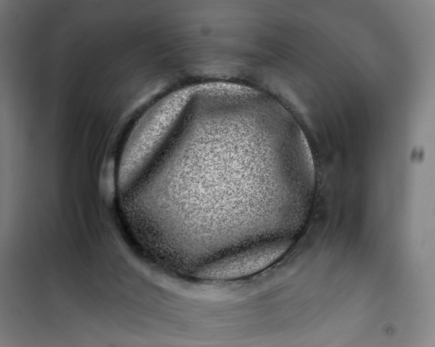 X0000101710020200807241506