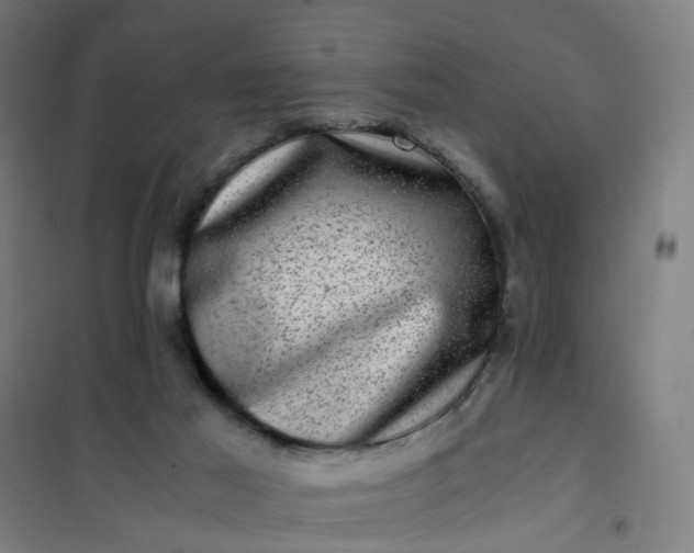 X0000101710021200807241506