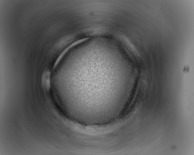 X0000101710022200807241506