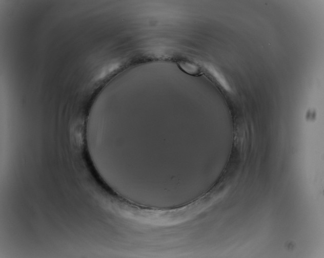 X0000101710023200807241506