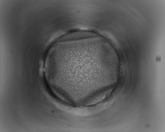 X0000101710024200807241505